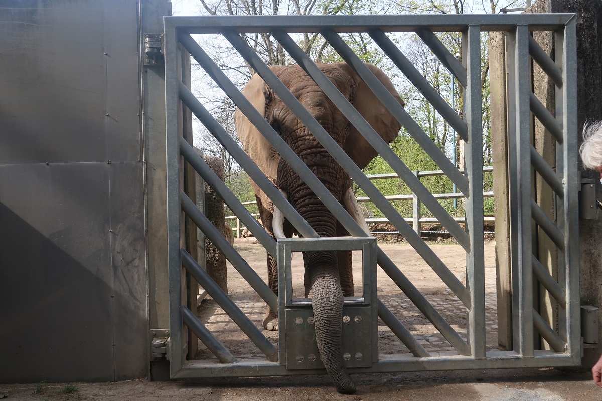 Zoo4228